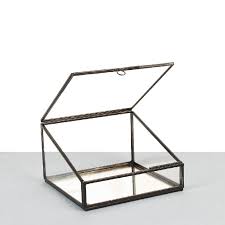 glass and black brass square display