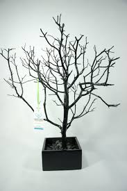 Painted Jewelry Tree Accessory Holder