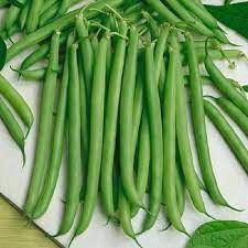 Bean Seeds Slenderette Vegetable