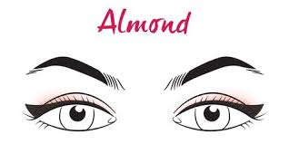 We did not find results for: How To Apply Eyeliner For Your Eye Shape Eye Makeup Tips And Tricks