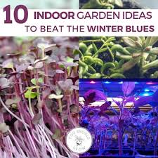 10 Indoor Garden Ideas To Beat The