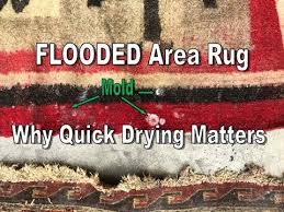 rug washing flooded moldy you