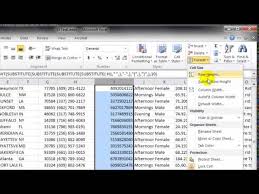 reformatting phone numbers with excel