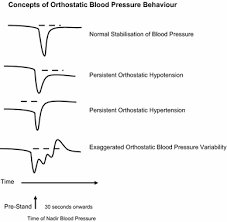 Phenotypes Of Orthostatic Blood Pressure Behaviour And