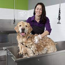 The businesses listed also serve surrounding cities and neighborhoods including fort myers fl, cape coral fl, and north fort. How To Start A Self Serve Dog Washing Business
