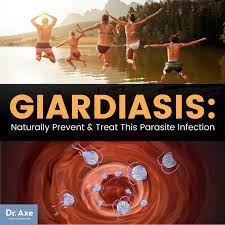 giardiasis prevention 4 natural