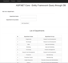 asp net core eny framework query