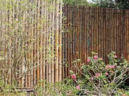 Boundary Wall Designs And Ideas For