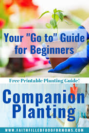 Printable Companion Planting Chart For