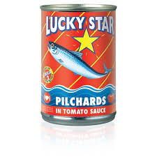 pilchard s in tom sauce sardines fish