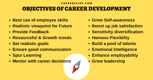 Career change resume objective example. 16 Purposes Benefits Objectives Of Career Development Career Cliff