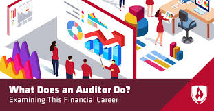 What Does An Auditor Do Examining This Financial Career