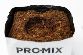 promix garden soil 2 gal container