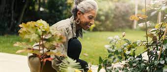 how gardening can help seniors stay active