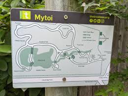 mytoi anese style garden