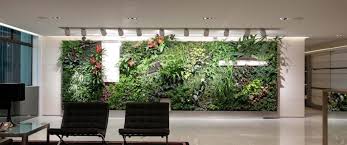 How Vertical Gardens Can Help You