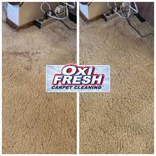 carpet cleaners near warsaw mo 65355