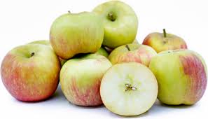 honeycrisp apples information and facts