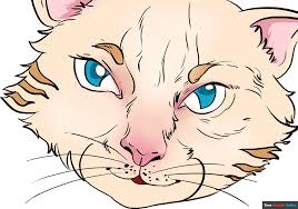 how to draw cat eyes really easy