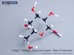 galactose sugar structure molecular