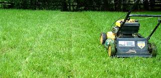 What Is The Proper Mowing Height For Grass In Your Yard