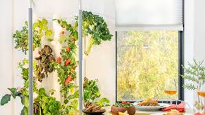 Hydroponic Gardening What It Is How