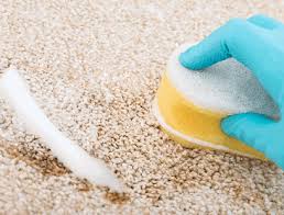 how to clean milk out of carpet