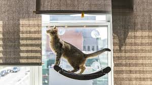 Cat Beds For Windows The Best Window