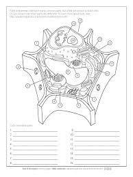 Answer key to the animal cell coloring which includes a sample cell and answers to the discussion questions. Aab Plant Cell Worksheet