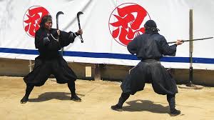 where to experience ninja culture in an