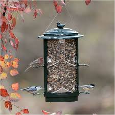 lx1 squirrel resistant bird feeder