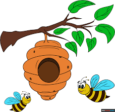 how to draw a bee hive really easy