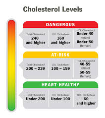 Cholesterol Understanding Levels And