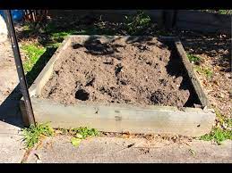 raised garden bed for planting