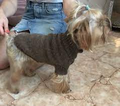 Вязание одежды спицами для мелких собак + схема