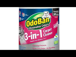 move out carpet cleaning with odoban
