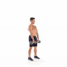The romanian deadlift will still support your strength goals, but because of the way the. Dumbbell Romanian Deadlift Deadlift Full Body Workout Workout
