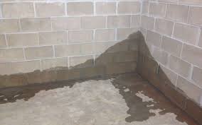 Wet Basement Doyle Plumbing Heating