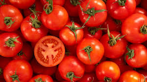 Why A German Lab Is Growing Tomatoes In Urine Bbc Future