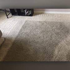 affordable carpet care with 16 reviews