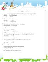 grade 6 science worksheets