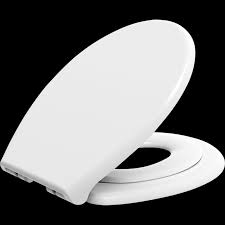Toddler Dual Toilet Seat Cover