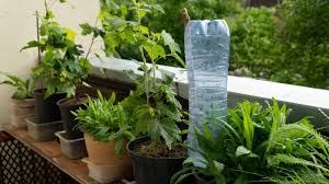 diy garden watering system ideas to