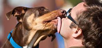 kissing your pet on the mouth
