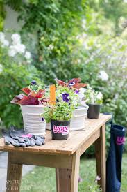 outdoor decorating with potted plants