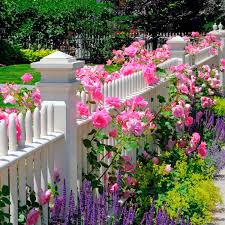 flower bed ideas for the front of your
