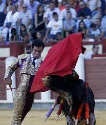 Juan de Dios Soler, dos orejas en novillada sin picadores en Valladolid |  El Norte de Castilla