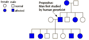 Human Genetics Problem Set