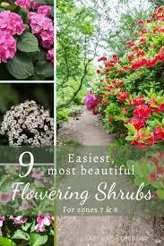 beautiful flowering shrubs for zones 7