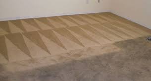 atlanta carpet cleaning services dry